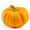 PUMKIN