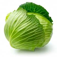 CABBAGE