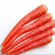 CARROT
