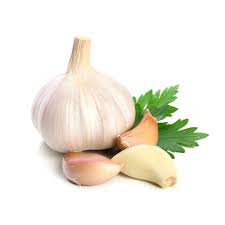 GARLIC